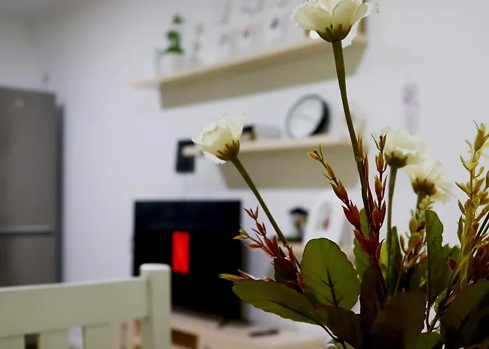 Euonia 公寓 地拉那